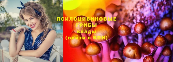 а пвп мука Богданович