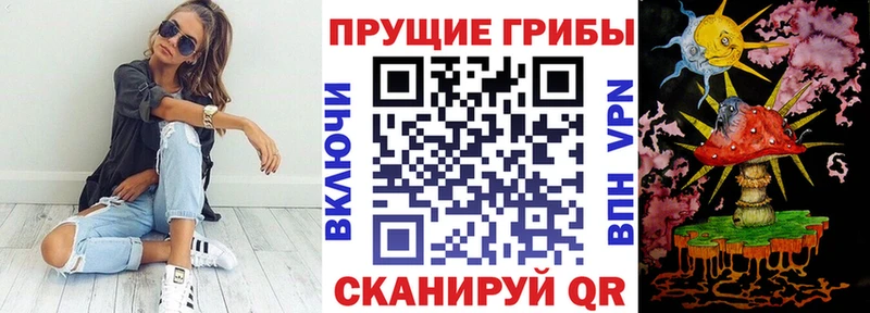 где купить наркотик  Новосибирск  блэк спрут ONION  Галлюциногенные грибы MAGIC MUSHROOMS 